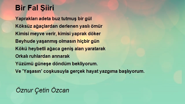 Öznur Çetin Özcan