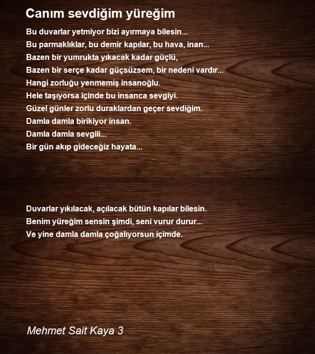 Mehmet Sait Kaya 3