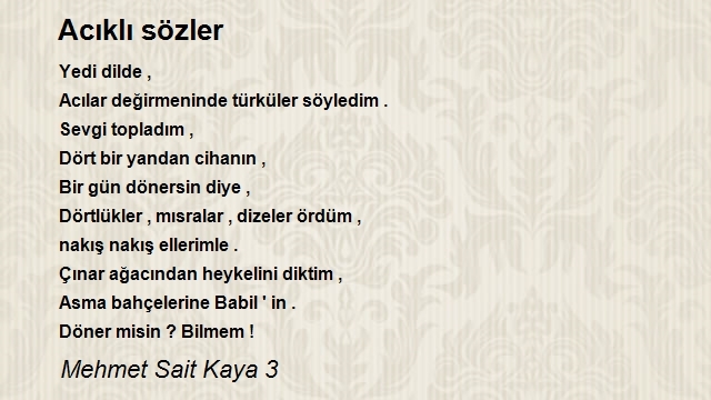 Mehmet Sait Kaya 3