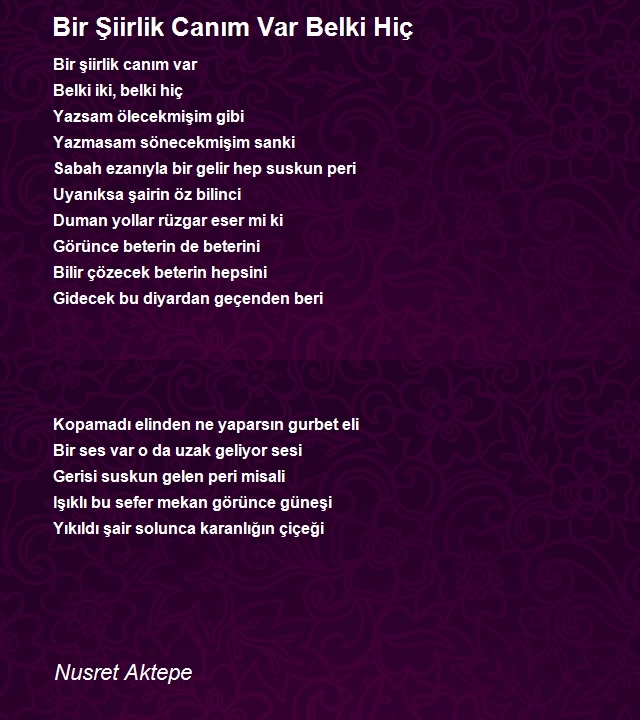 Nusret Aktepe