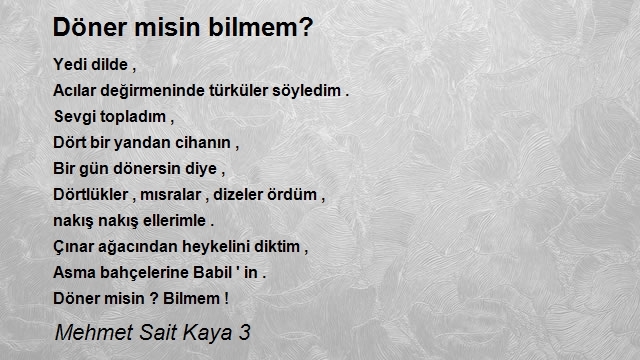 Mehmet Sait Kaya 3