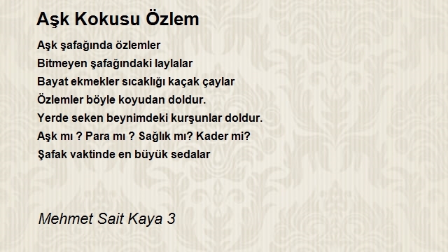 Mehmet Sait Kaya 3