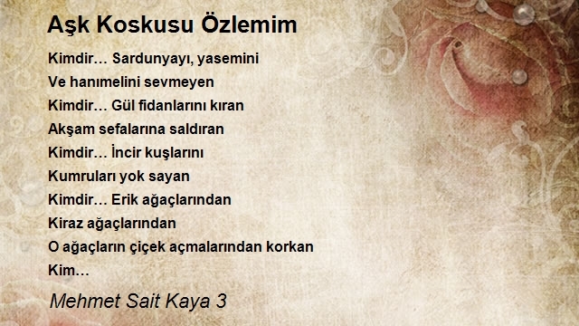 Mehmet Sait Kaya 3