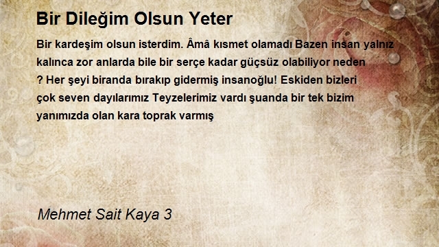 Mehmet Sait Kaya 3