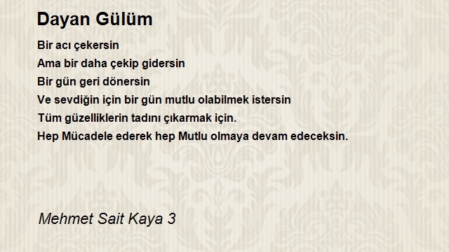 Mehmet Sait Kaya 3