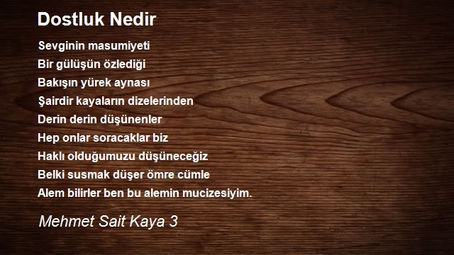 Mehmet Sait Kaya 3