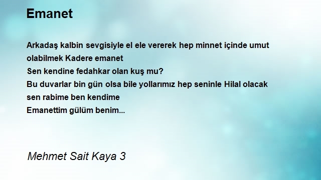 Mehmet Sait Kaya 3