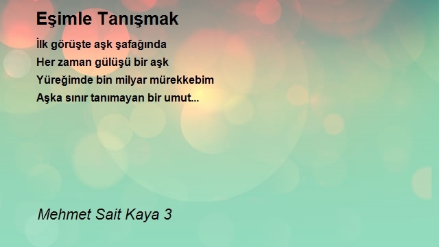 Mehmet Sait Kaya 3