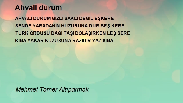 Mehmet Tamer Altıparmak