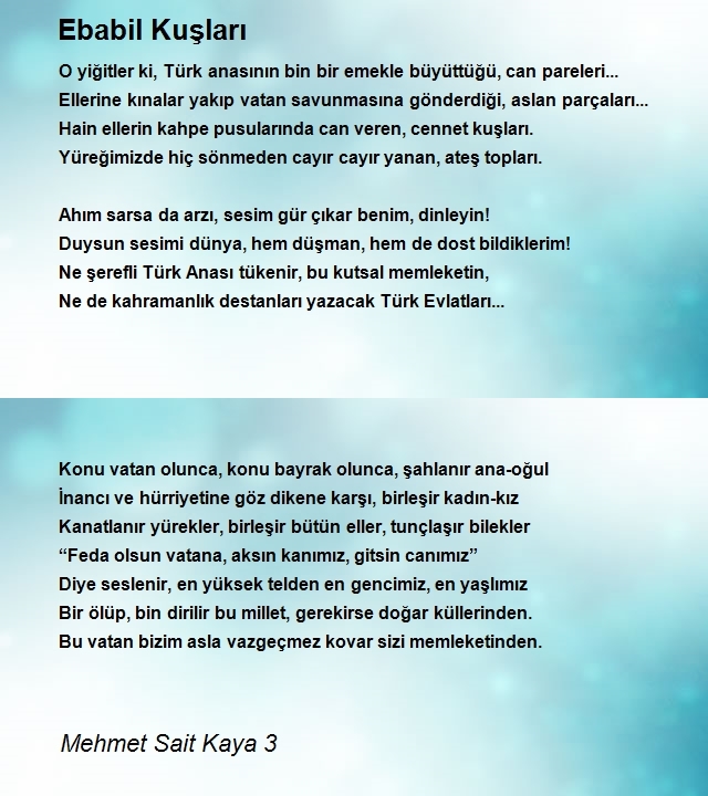 Mehmet Sait Kaya 3