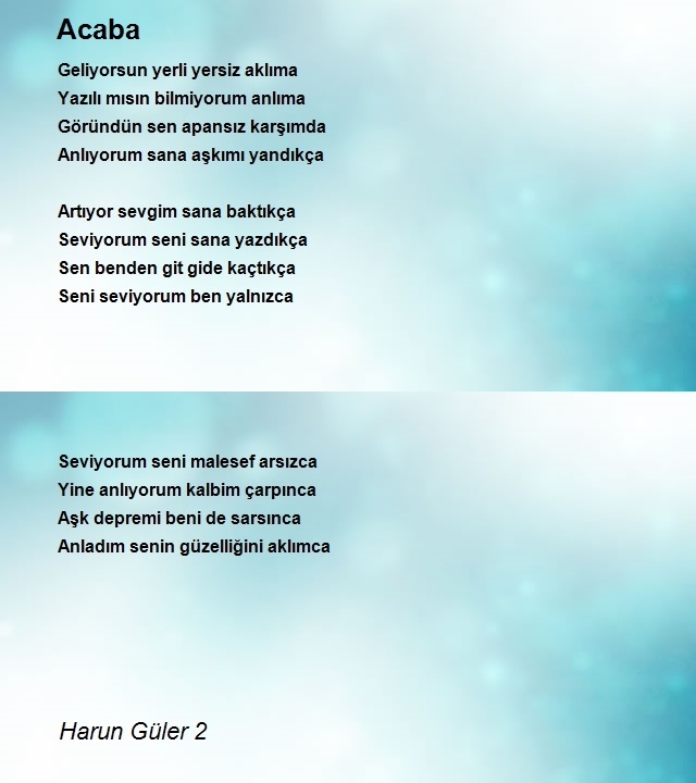 Harun Güler 2