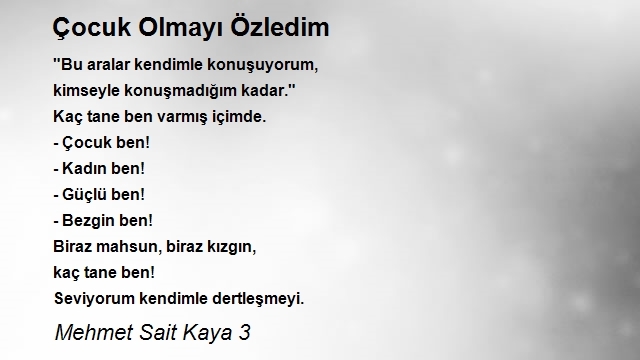 Mehmet Sait Kaya 3