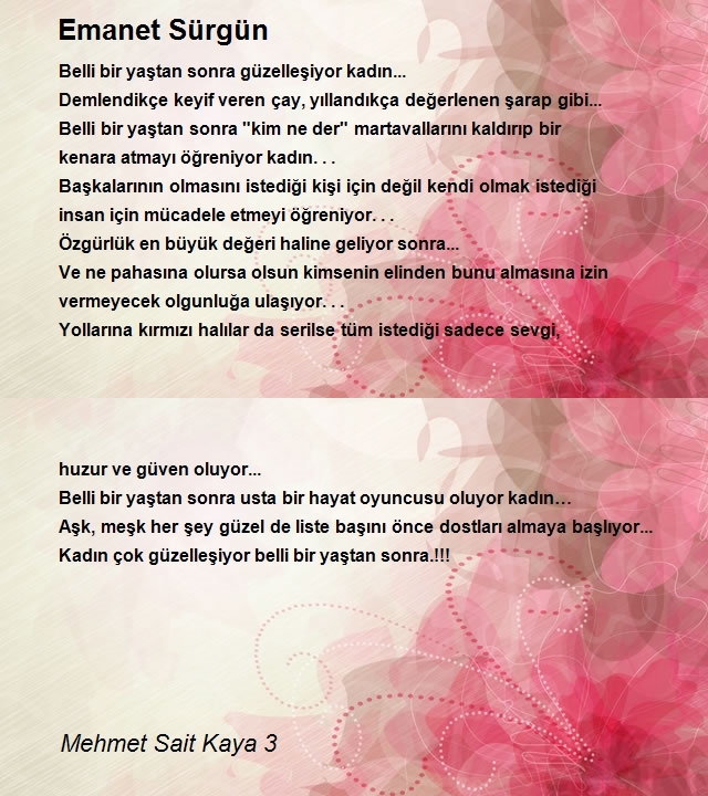 Mehmet Sait Kaya 3