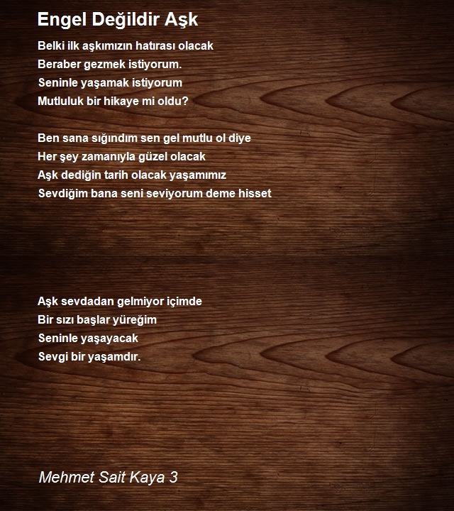 Mehmet Sait Kaya 3