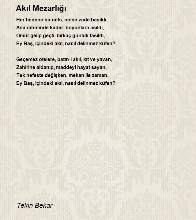 Tekin Bekar