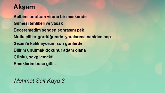 Mehmet Sait Kaya 3