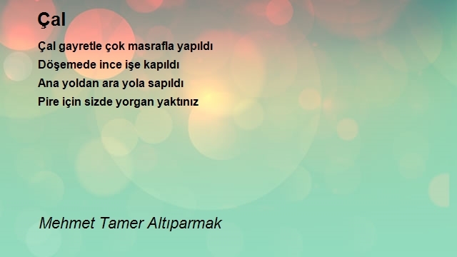 Mehmet Tamer Altıparmak