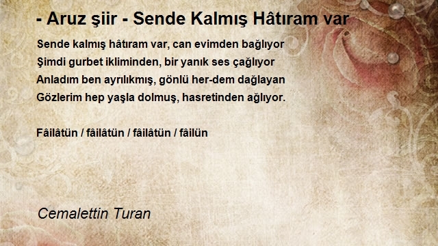 Cemalettin Turan