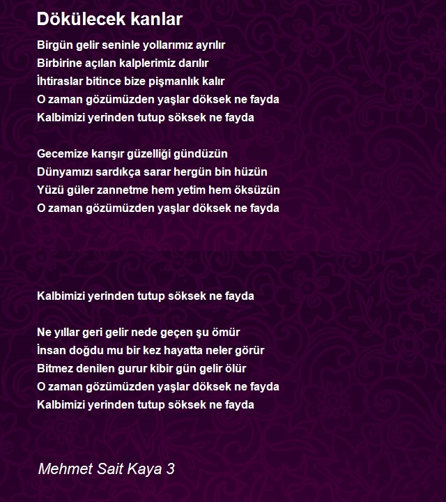 Mehmet Sait Kaya 3