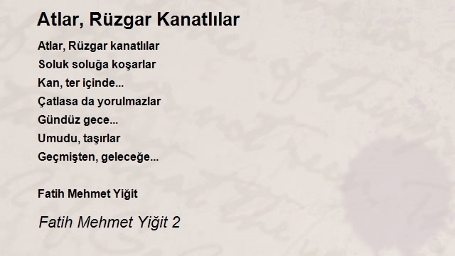 Fatih Mehmet Yiğit 2