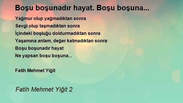 Fatih Mehmet Yiğit 2