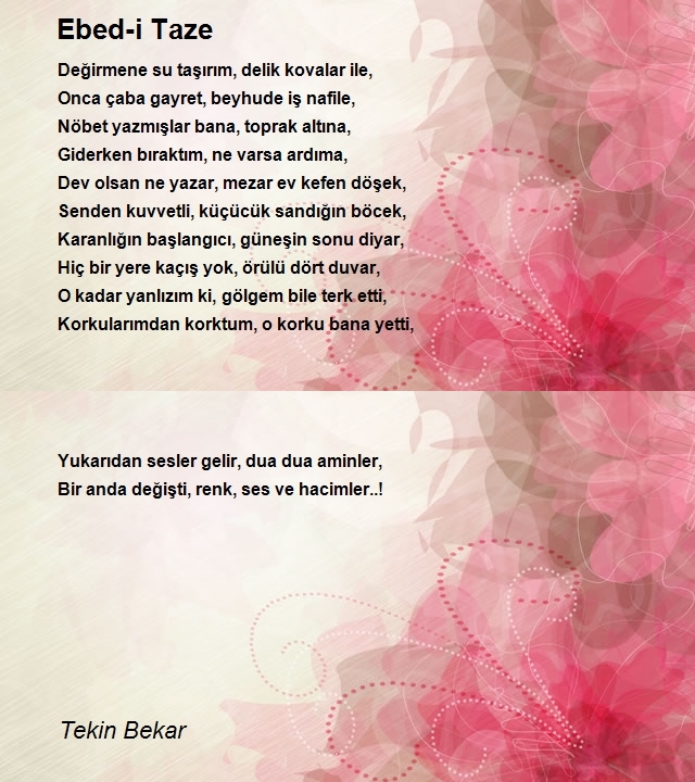 Tekin Bekar