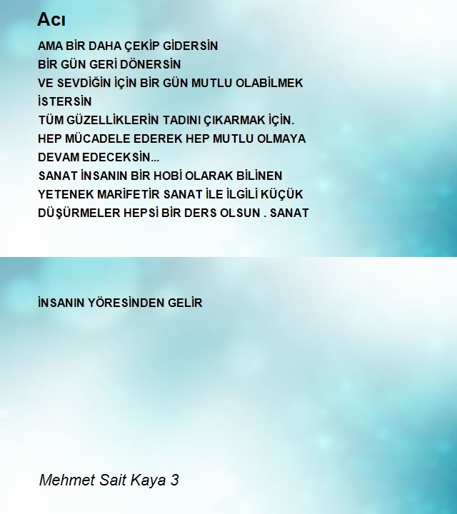 Mehmet Sait Kaya 3