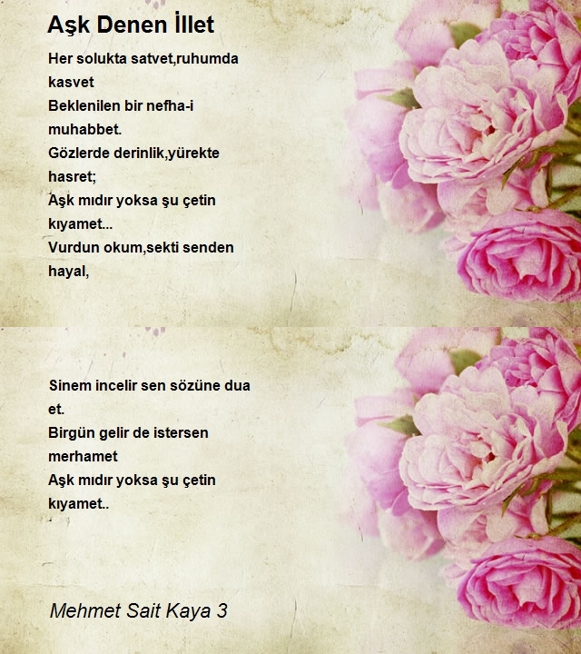 Mehmet Sait Kaya 3