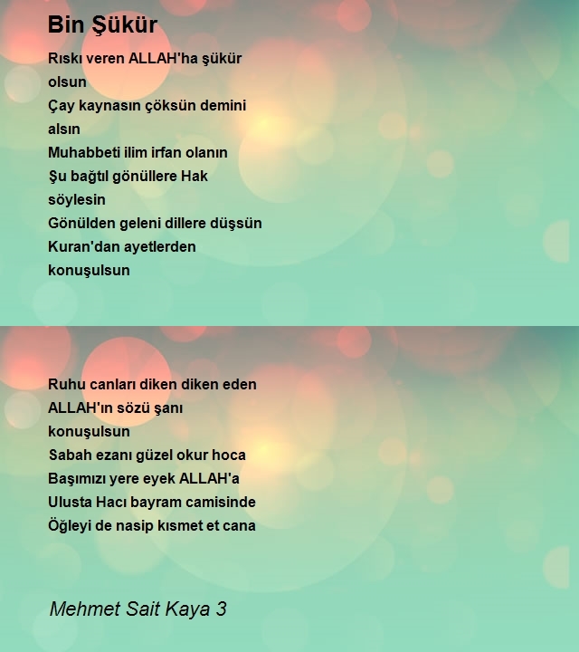 Mehmet Sait Kaya 3