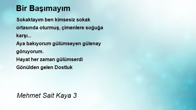 Mehmet Sait Kaya 3