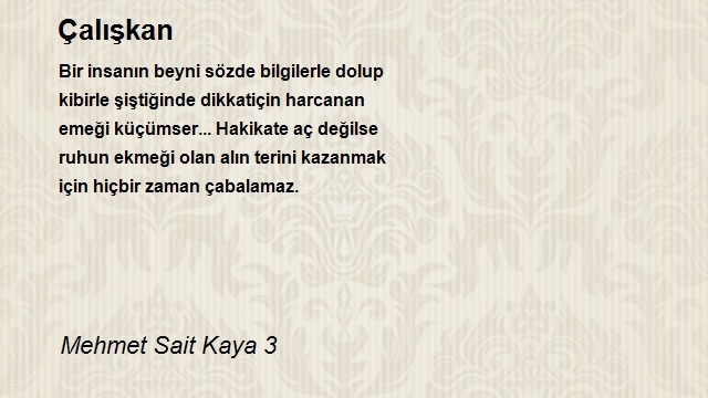 Mehmet Sait Kaya 3