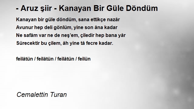 Cemalettin Turan