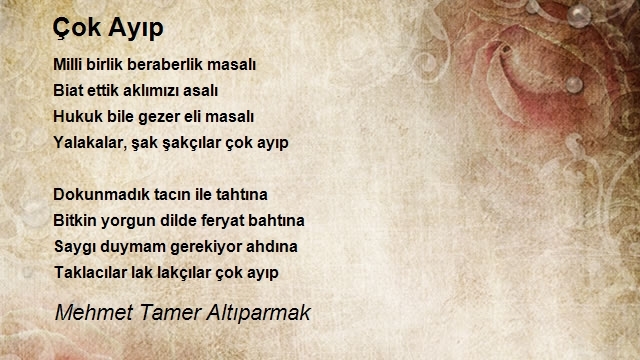 Mehmet Tamer Altıparmak