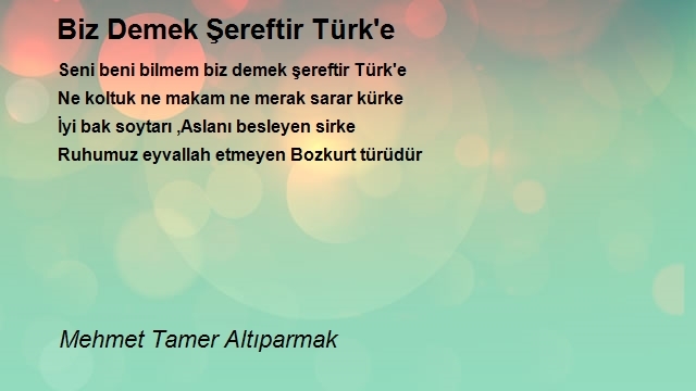 Mehmet Tamer Altıparmak