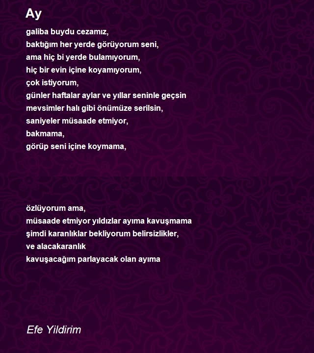 Efe Yildirim