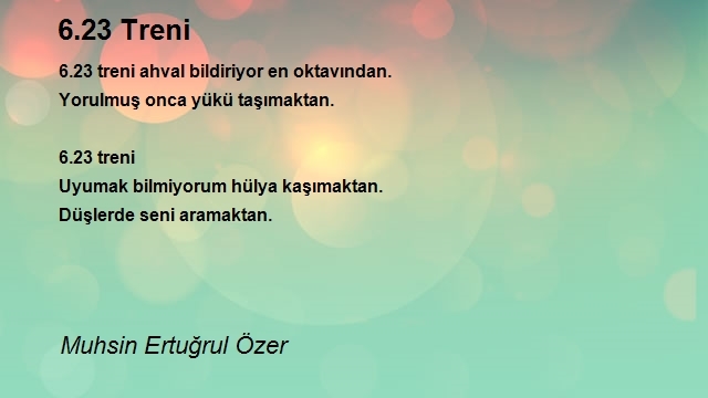 Muhsin Ertuğrul Özer