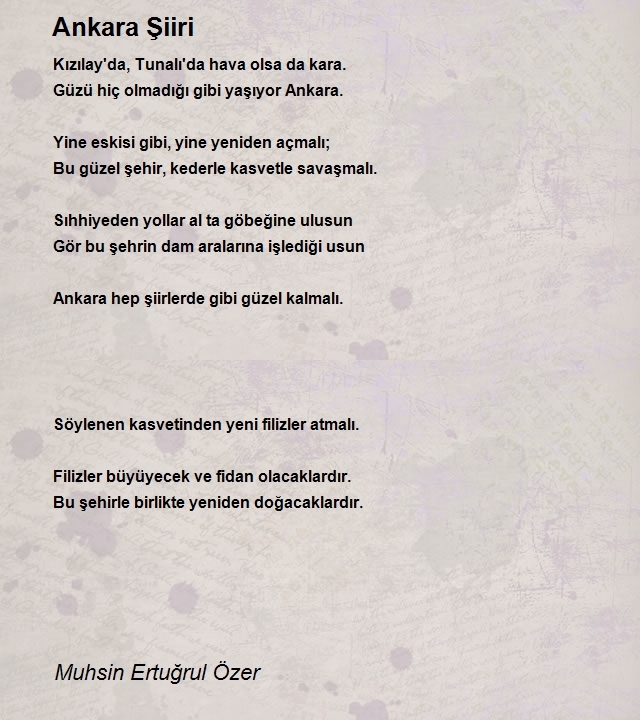 Muhsin Ertuğrul Özer