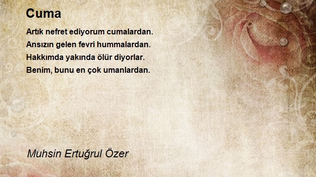 Muhsin Ertuğrul Özer