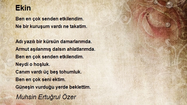 Muhsin Ertuğrul Özer