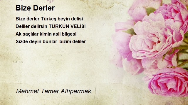 Mehmet Tamer Altıparmak