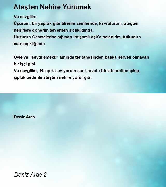 Deniz Aras 2