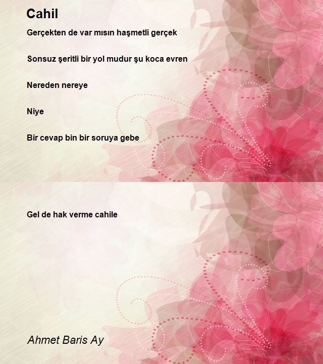 Ahmet Baris Ay