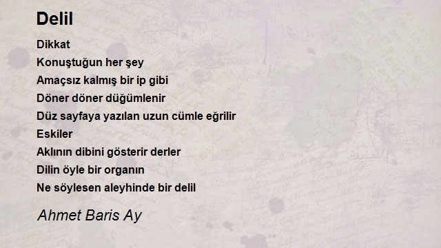 Ahmet Baris Ay