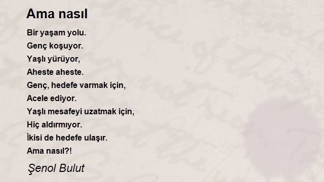 Şenol Bulut