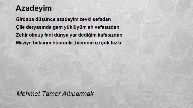 Mehmet Tamer Altıparmak