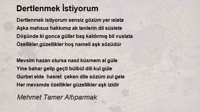 Mehmet Tamer Altıparmak