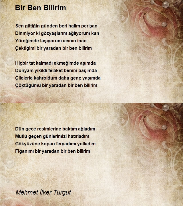 Mehmet İlker Turgut