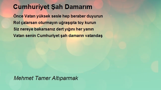 Mehmet Tamer Altıparmak