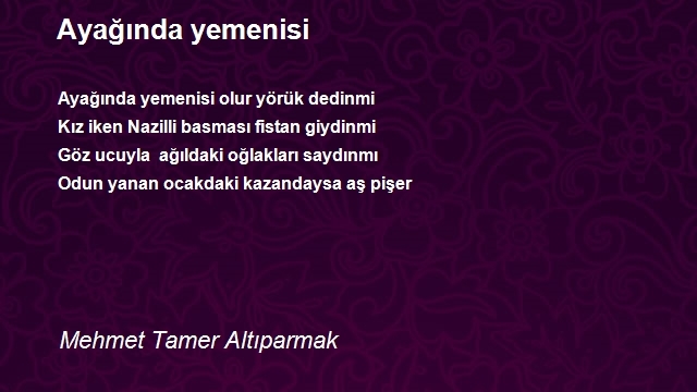 Mehmet Tamer Altıparmak