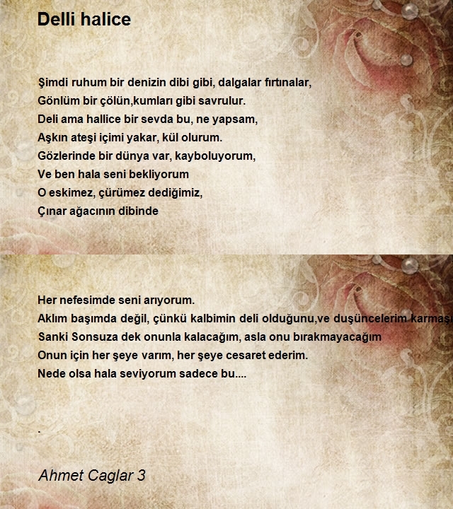 Ahmet Caglar 3